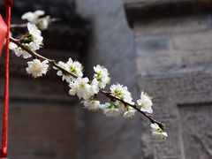 -西安关中民俗艺术博物院