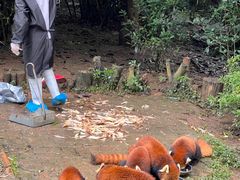 -成都天府丽都喜来登饭店