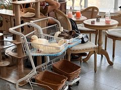 大堂-共舞时光猫咖·狗咖(新街口店)