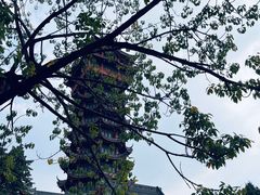 -塔子山公园