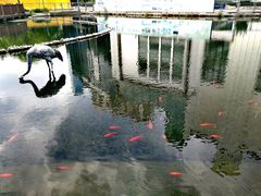 -苏州河梦清园环保主题公园