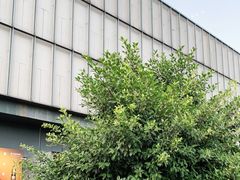 -Club Queen皇后酒吧