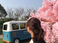 -杭州湾海上花田景区