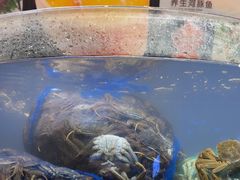 -海天盛宴新派海鲜自助餐厅(群力店)