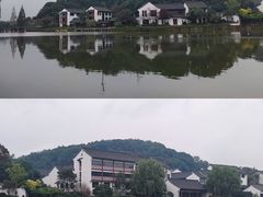 -鲁镇