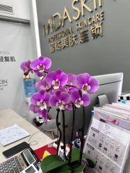 -MIDA蜜哒•科技逆龄美肤连锁