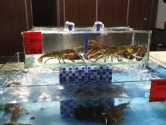 水产区-吕宋海鲜楼