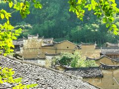 -杨家堂村