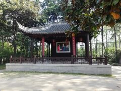 -梅园