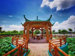 -长廊欢乐园