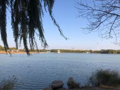 -大兴滨河森林公园