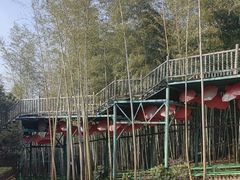 -陶祖圣境风景区