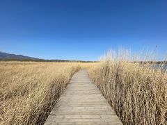 -野鸭湖国家湿地公园