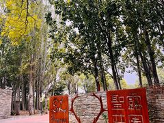 -圣露庄园·露营·烤肉·亲子