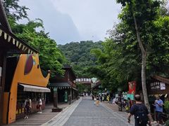 -野象谷景区
