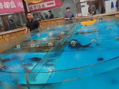 -耕渔小院·湖南鱼鲜(望城店)