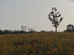 -同里国家湿地公园