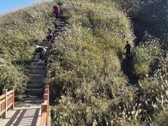 -萍乡武功山风景名胜区