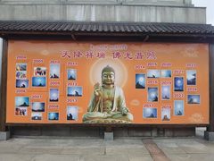 -龙口南山旅游景区