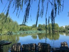 -南翠屏公园