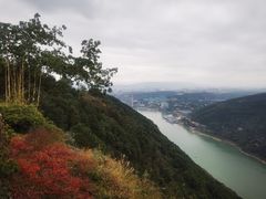 -铁山坪森林公园