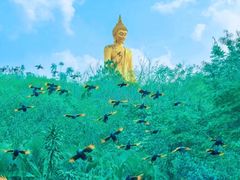 -西双版纳原始森林公园