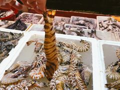 -芦潮港集贸市场