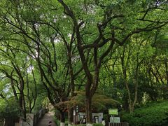 -杭州半山国家森林公园