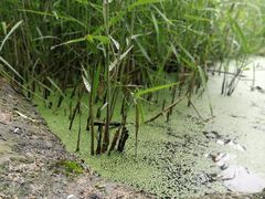 -成都市活水公园