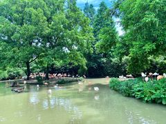 -野生动物园-停车场