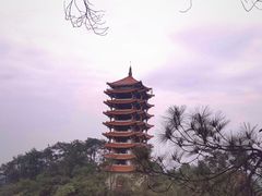 -缙云山景区