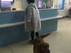 -北京观赏动物医院·24小时大型综合·猫专科·异宠专科