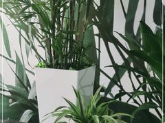 -微软亚太研发集团大厦(微软总部)