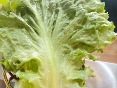 生菜-小伙虎坊桥石锅烤肉(和义店)