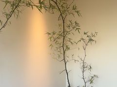 -小茶闲舍·观景商务茶馆(广州塔店)