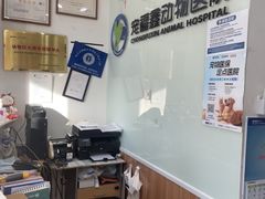 -宠福鑫动物医院(望京分院)