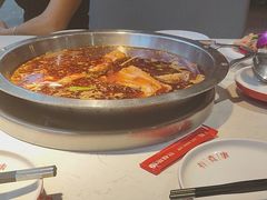 -蜀滋香鲜鱼美蛙火锅(339店)