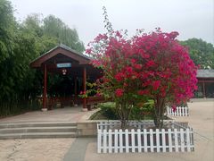 -金银湖国家城市湿地公园
