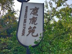 -北京麋鹿生态实验中心
