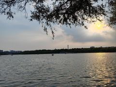 -长春市南湖公园