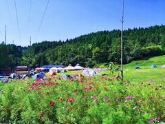 -武陵山森林公园