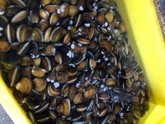 -红旗山庄(圭峰山店)