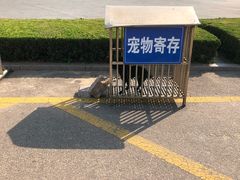 -日照灯塔风景区