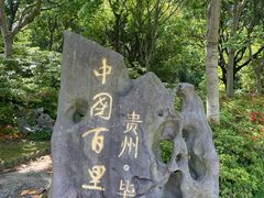 -上海滨江森林公园