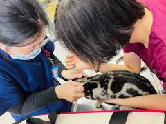 -中农大我爱我爱动物医院·核磁CT·猫病·24小时夜诊中心(石佛营店)