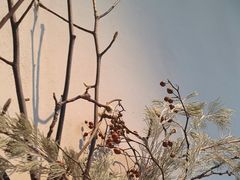 -Carmen卡门西班牙餐厅