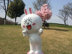-杭州湾海上花田景区