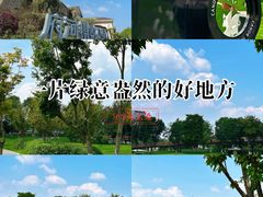 -府河摄影公园
