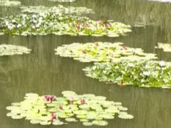 android_upload_pic-文瀛公园