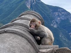 -白帝城·瞿塘峡景区